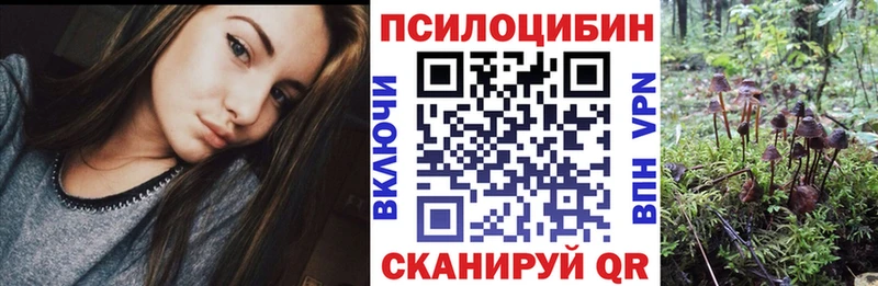 Галлюциногенные грибы ЛСД  Купить где  Палласовка 